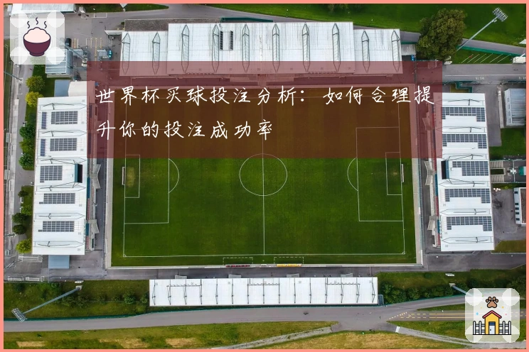 世界杯买球投注分析:如何合理提升你的投注成功率