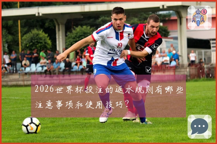 2026世界杯投注的返水规则有哪些注意事项和使用技巧？