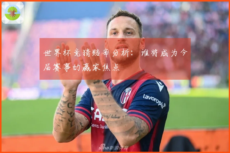 世界杯竞猜赔率分析：谁将成为今届赛事的赢家焦点