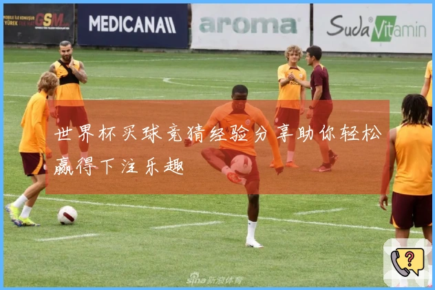 世界杯买球竞猜经验分享助你轻松赢得下注乐趣