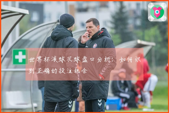 世界杯滚球买球盘口分析：如何识别正确的投注机会