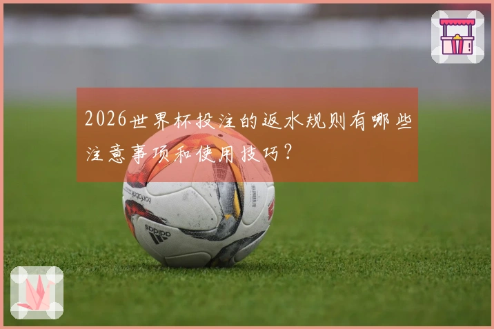 2026世界杯投注的返水规则有哪些注意事项和使用技巧？