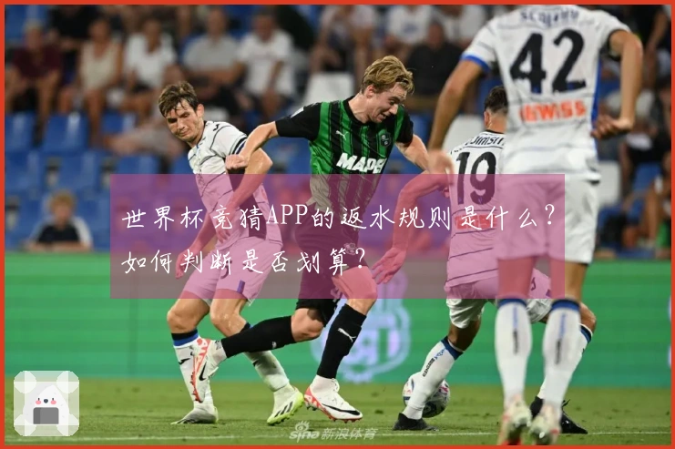 世界杯竞猜APP的返水规则是什么？如何判断是否划算？