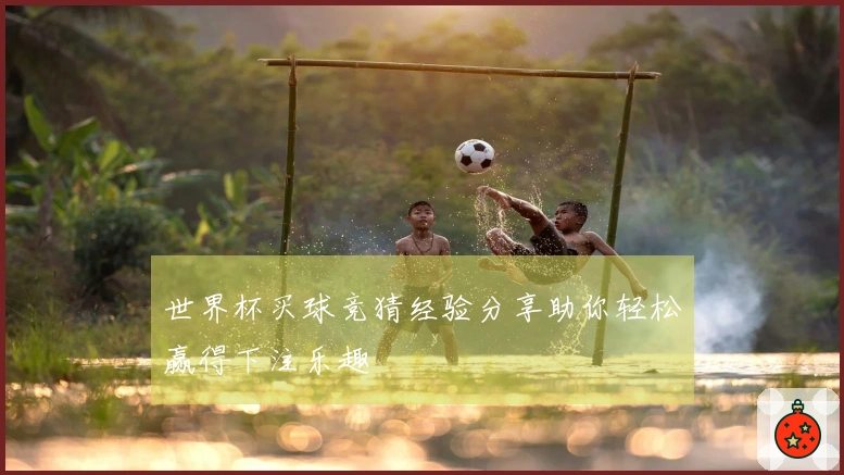 世界杯买球竞猜经验分享助你轻松赢得下注乐趣